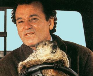 bill.murray.groundhog.day_.story